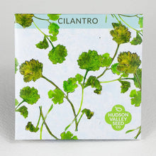 Load image into Gallery viewer, Cilantro Herb