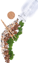 Load image into Gallery viewer, DIY Large Jar Terrarium with Soil and Moss Garden Crafts Kit