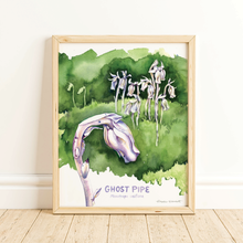 Load image into Gallery viewer, Ghost Pipe - Watercolor Art Print