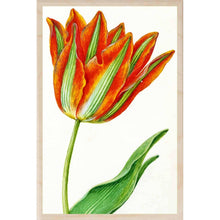 Load image into Gallery viewer, PARROT TULIP Wood Postcard