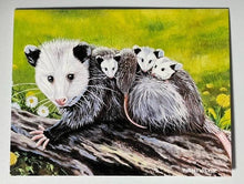 Load image into Gallery viewer, Walkup Wildlife Notecard Set