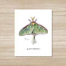 Load image into Gallery viewer, Luna Moth Watercolor Art Print