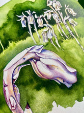 Load image into Gallery viewer, Ghost Pipe - Watercolor Art Print