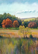 Load image into Gallery viewer, Crowder "Blue Skies" Boxed Notecard Set