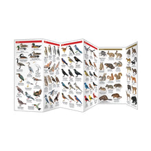 Load image into Gallery viewer, West Virginia Wildlife Trifold