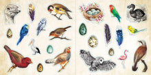 Load image into Gallery viewer, Loads of Ephemera! Sticker Book