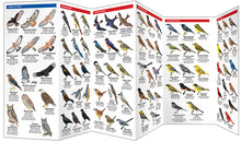 Load image into Gallery viewer, West Virginia Birds Trifold