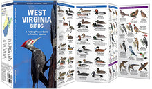 Load image into Gallery viewer, West Virginia Birds Trifold