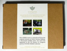 Load image into Gallery viewer, Walkup Wildlife Notecard Set