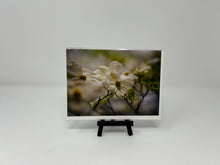 Load image into Gallery viewer, Melanie Myhre Notecard