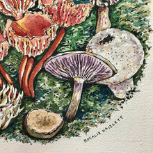 Load image into Gallery viewer, Forest Mushrooms Watercolor Art Print