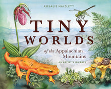 Load image into Gallery viewer, Tiny Worlds of the Appalachian Mountains