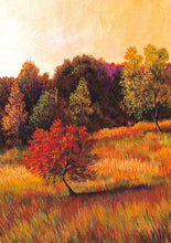 Load image into Gallery viewer, Crowder "Seasons" Boxed Notecard Set