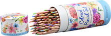 Load image into Gallery viewer, Studio Series Colored Pencils (Set of 72)