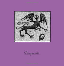 Load image into Gallery viewer, Edward Gorey - The Hapless Child