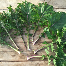 Load image into Gallery viewer, All Stars Kale