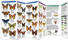 Load image into Gallery viewer, WV Butterflies & Pollinators Trifold
