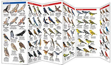 Load image into Gallery viewer, West Virginia Birds Trifold
