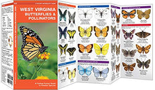 Load image into Gallery viewer, WV Butterflies & Pollinators Trifold