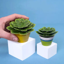 Load image into Gallery viewer, Make Your Own Mini Paper Succulent Plant
