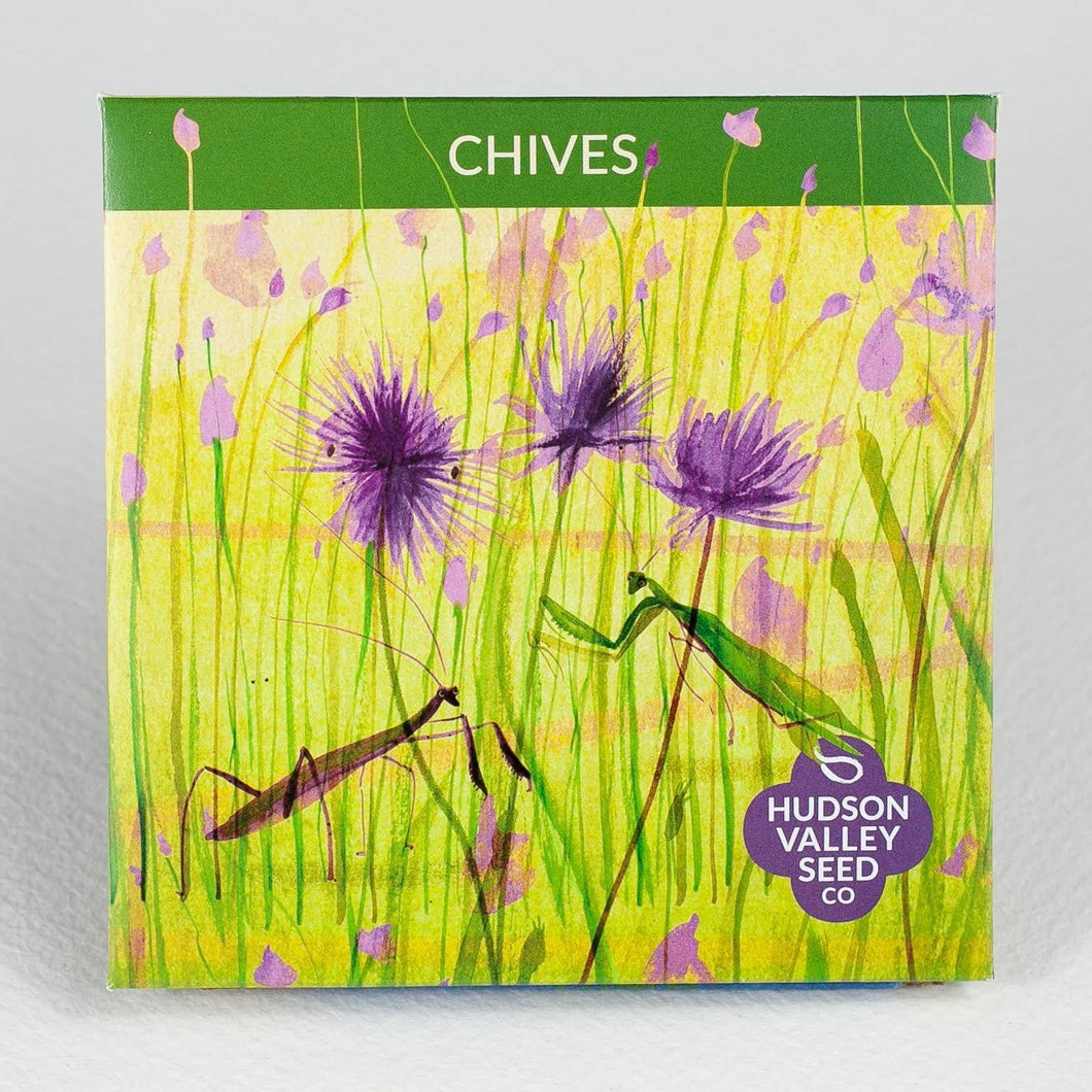 Chives Herb