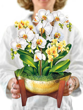 Load image into Gallery viewer, Serenity Orchid Paper Bouquet
