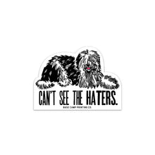 Load image into Gallery viewer, Can't See the Haters Sticker
