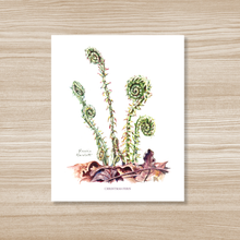 Load image into Gallery viewer, Fiddlehead Ferns - Watercolor Art Print
