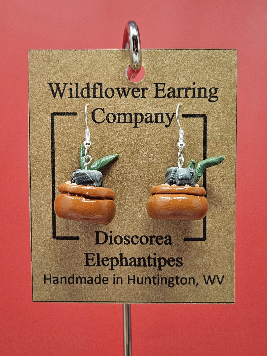 Dioscorea Elephantipes Polymer Clay Earrings