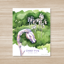 Load image into Gallery viewer, Ghost Pipe - Watercolor Art Print
