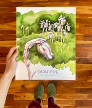 Load image into Gallery viewer, Ghost Pipe - Watercolor Art Print
