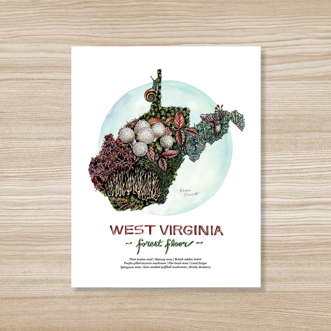 West Virginia Forest Floor - Watercolor Art Print
