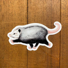 Load image into Gallery viewer, Raz the Opossum Weatherproof Vinyl Sticker
