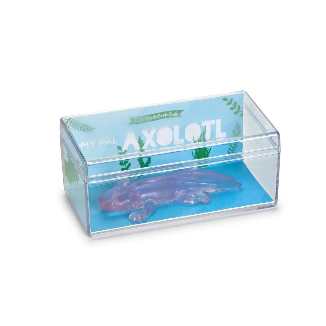 Awesome Axolotl - Translucent Axolotl in Storage Container
