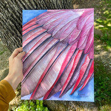 Load image into Gallery viewer, Northern Cardinal Wing - Watercolor Art Print
