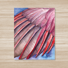 Load image into Gallery viewer, Northern Cardinal Wing - Watercolor Art Print
