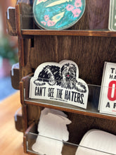 Load image into Gallery viewer, Can't See the Haters Sticker
