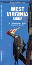 Load image into Gallery viewer, West Virginia Birds Trifold
