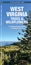 Load image into Gallery viewer, West Virginia Trees &amp; Wildflowers Trifold
