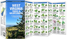Load image into Gallery viewer, West Virginia Trees &amp; Wildflowers Trifold
