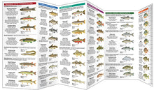 Load image into Gallery viewer, West Virginia Freshwater Fishes
