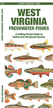 Load image into Gallery viewer, West Virginia Freshwater Fishes
