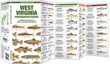 Load image into Gallery viewer, West Virginia Freshwater Fishes
