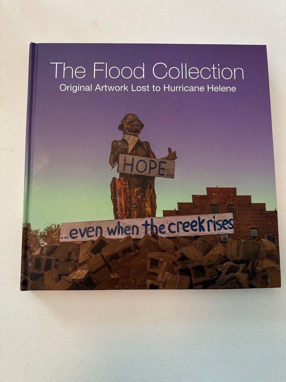 The Flood Collection: Original Artwork Lost to Hurricane Helene