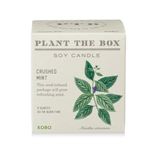 Load image into Gallery viewer, Crushed Mint Plant the Box Candle
