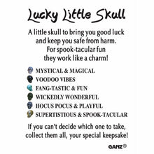 Load image into Gallery viewer, Lucky Little Skulls Charms
