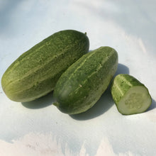 Load image into Gallery viewer, Homemade Pickles Cucumber
