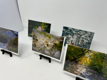 Load image into Gallery viewer, Melanie Myhre Notecard

