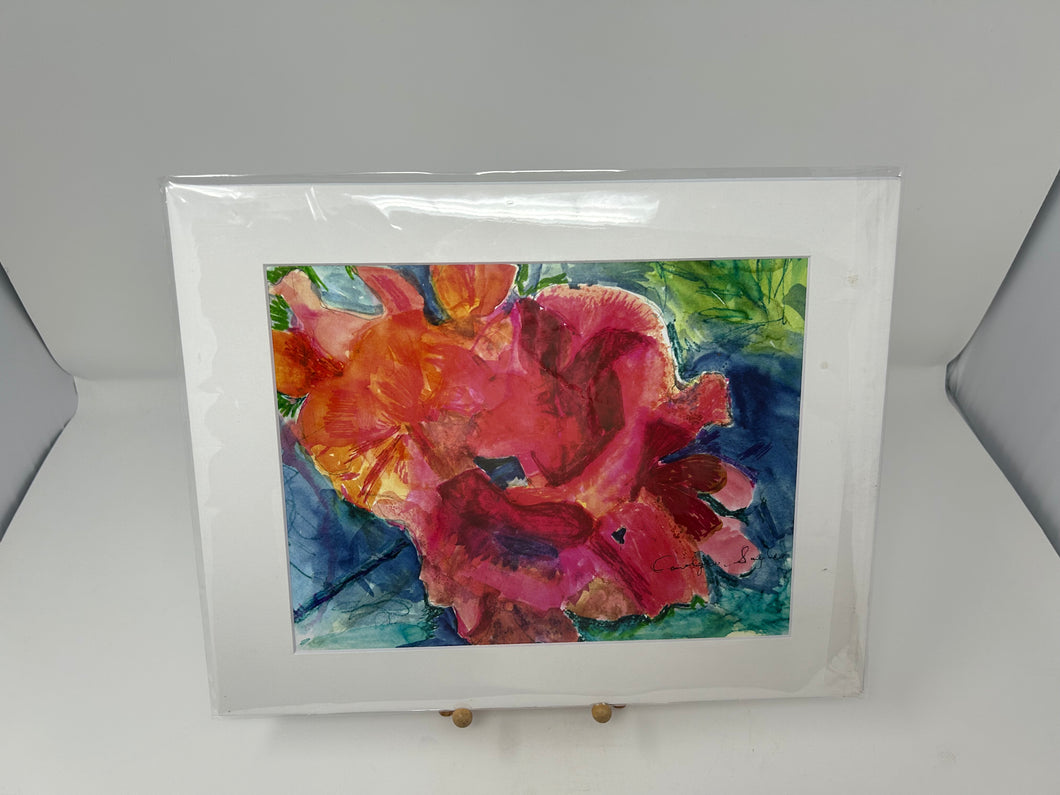 Geranium 8