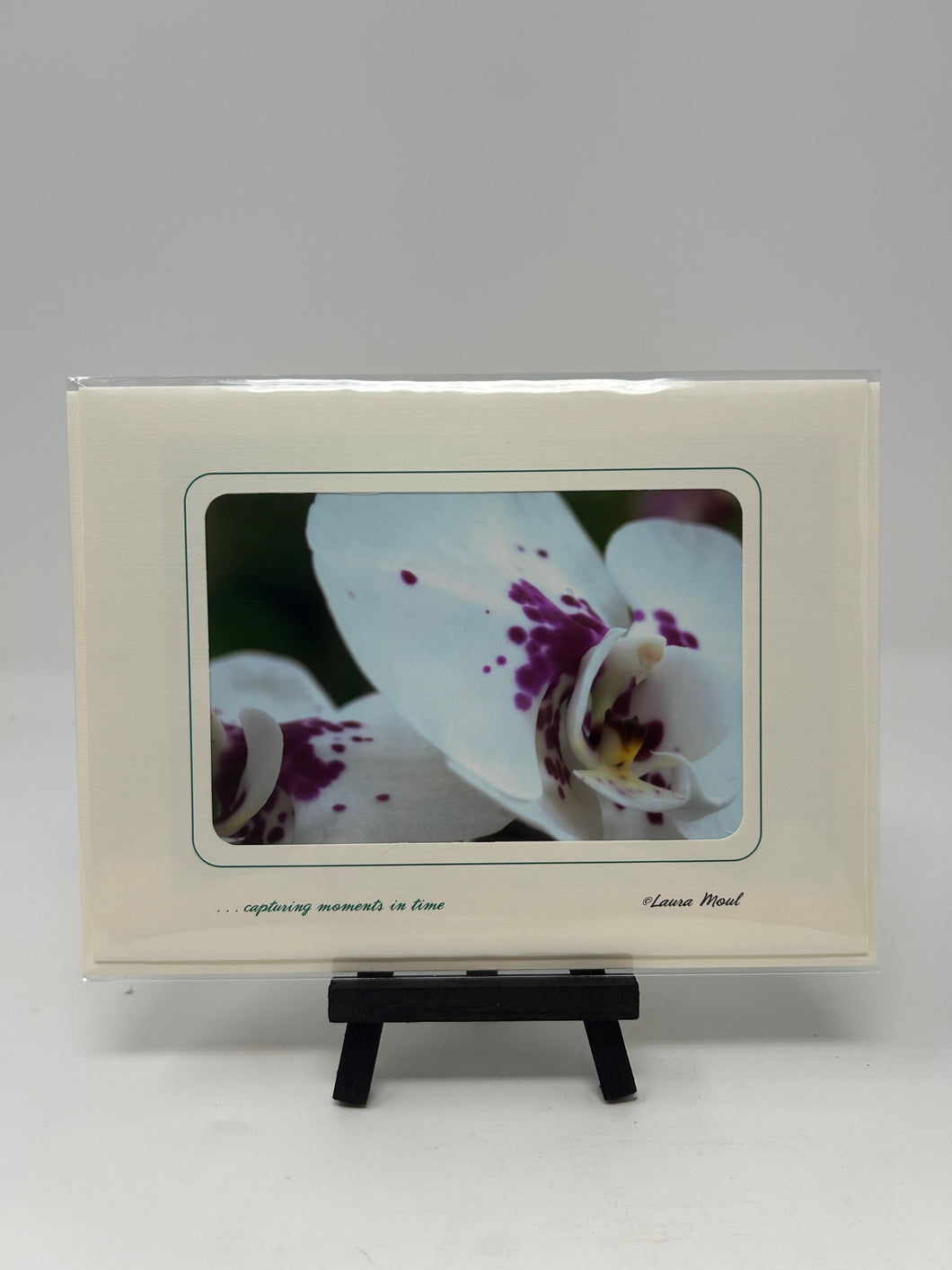 Laura Moul HMA Conservatory Note Card